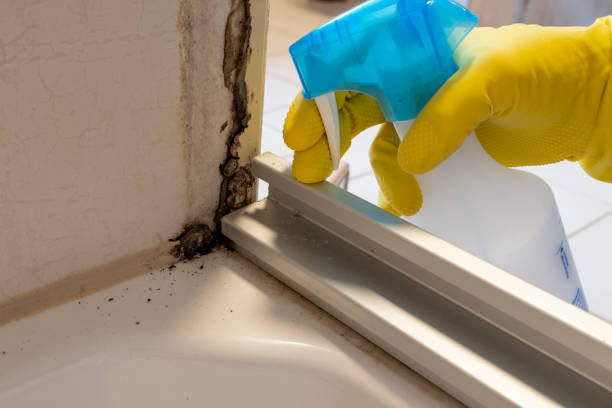 Poughkeepsie, NY Mold Remediation Company